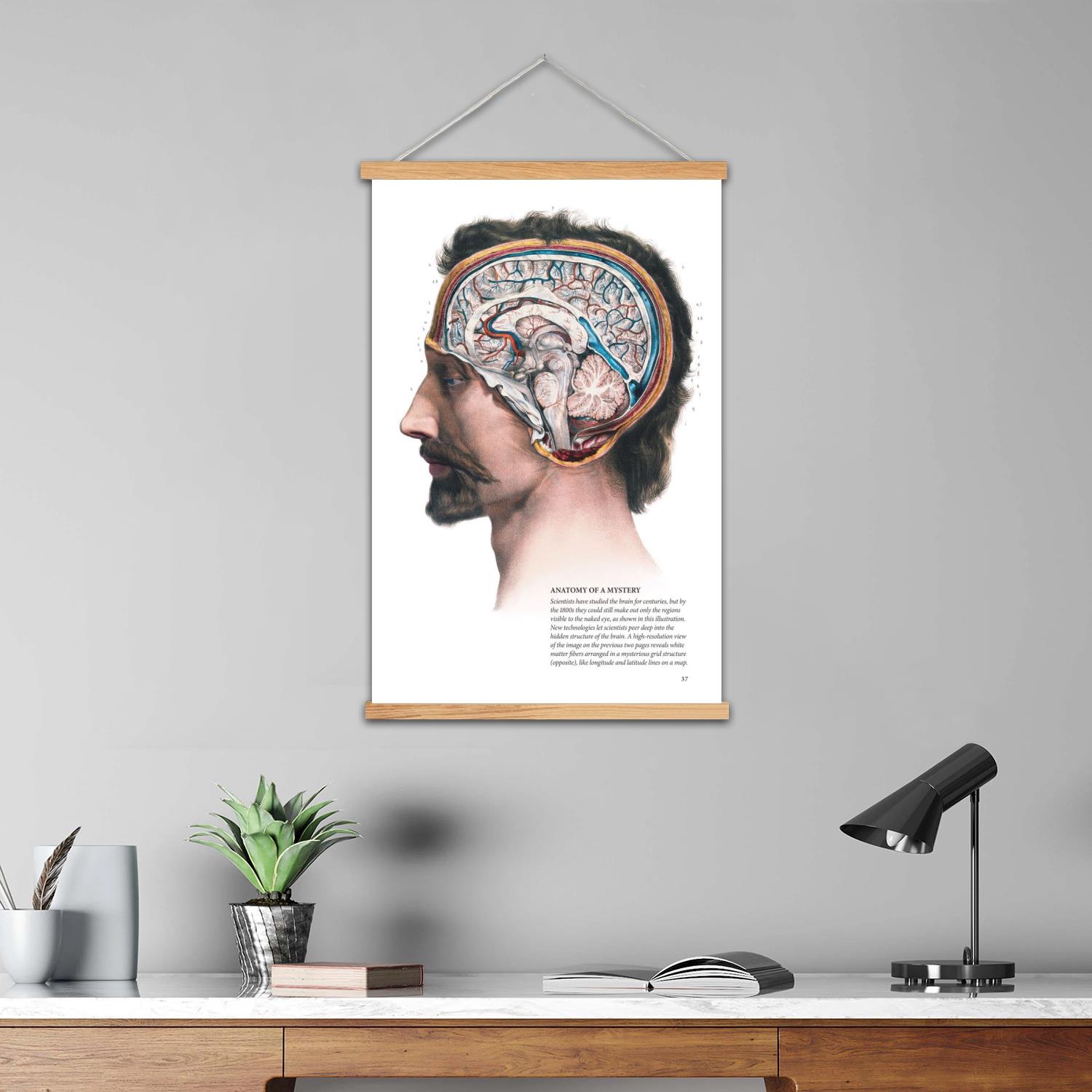 brain Framed Wall Painting Can - Art Print Framed review and price
