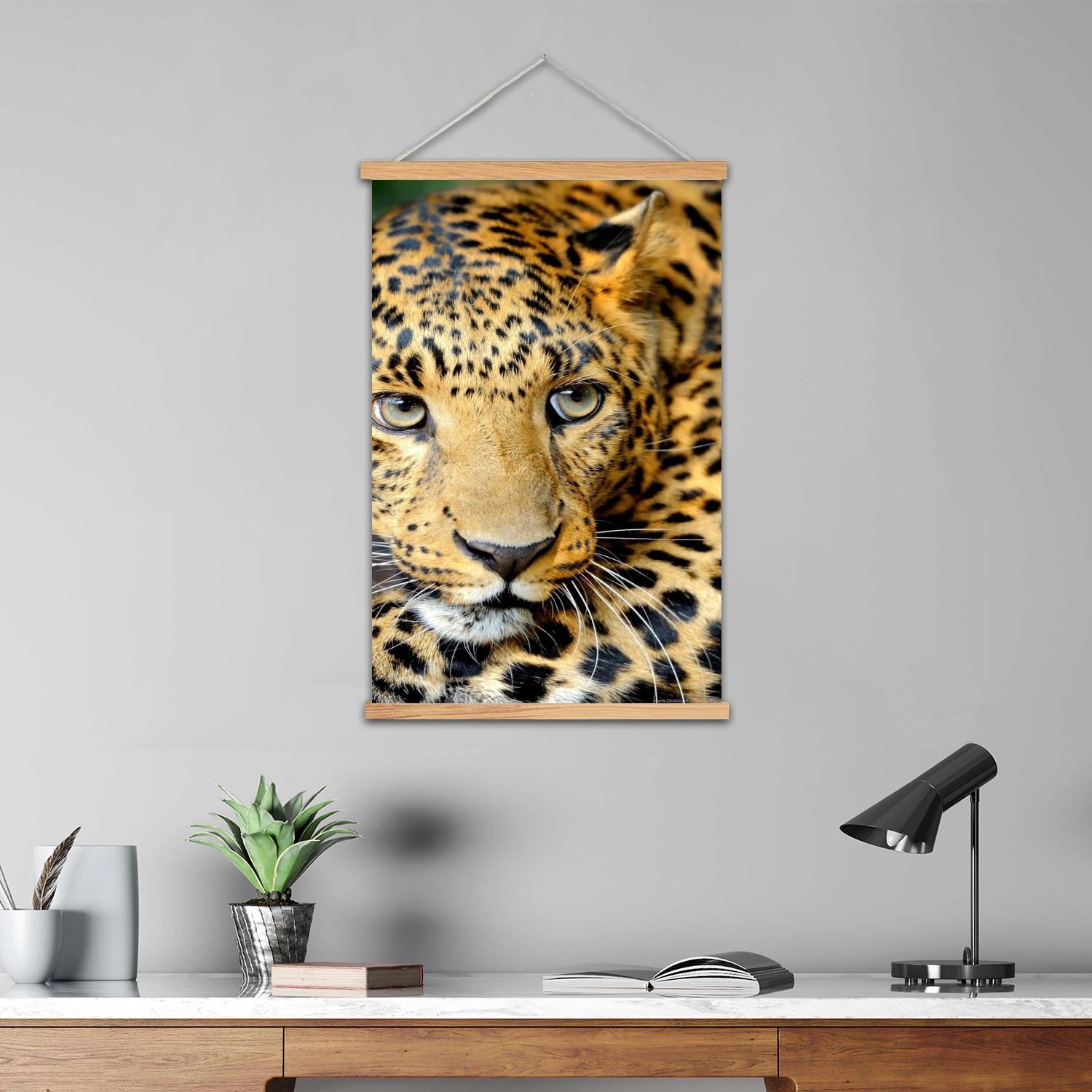 leopard print Framed Wall Pain - Art Print Framed review and price