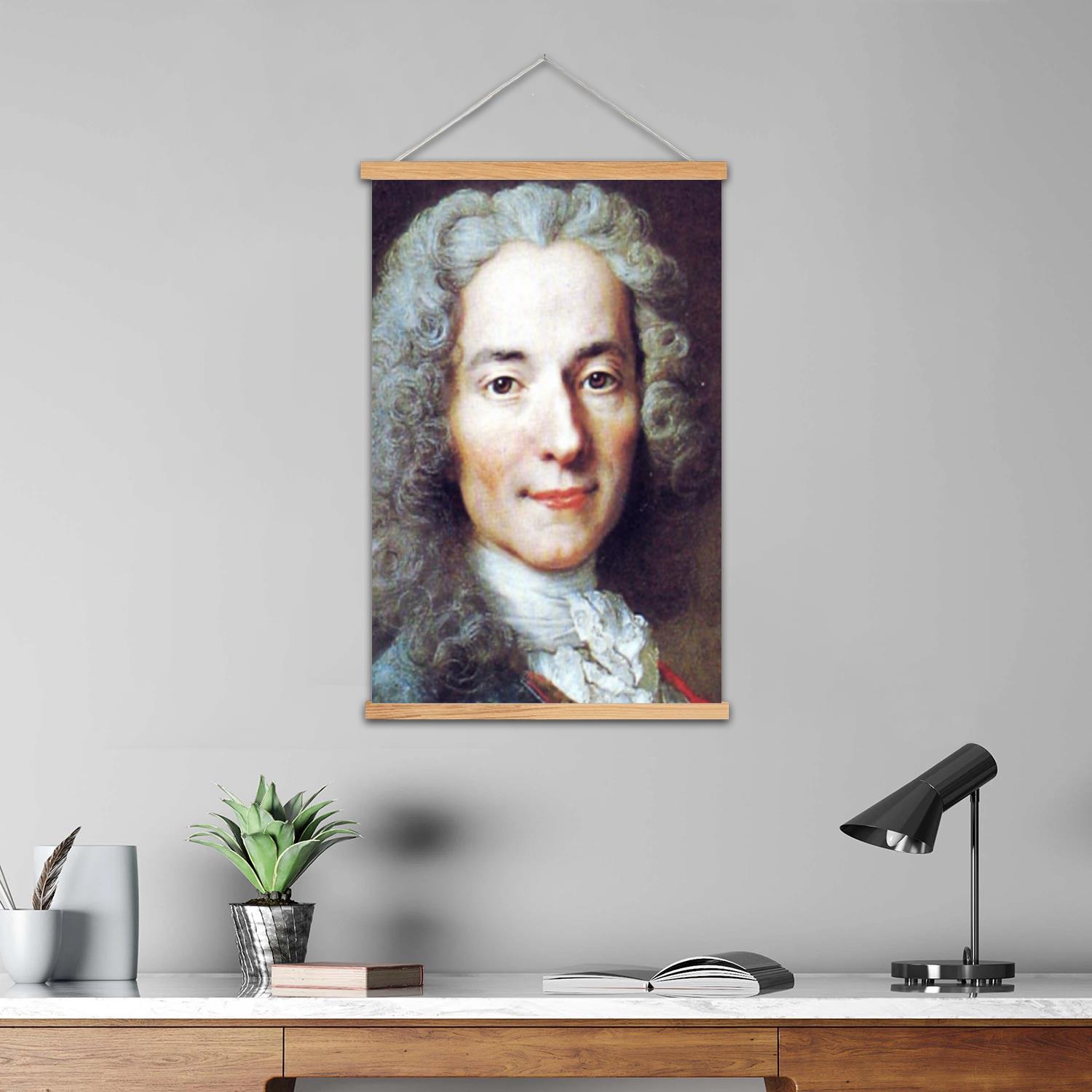 Voltaire Framed Wall Painting  - Art Print Framed review and price