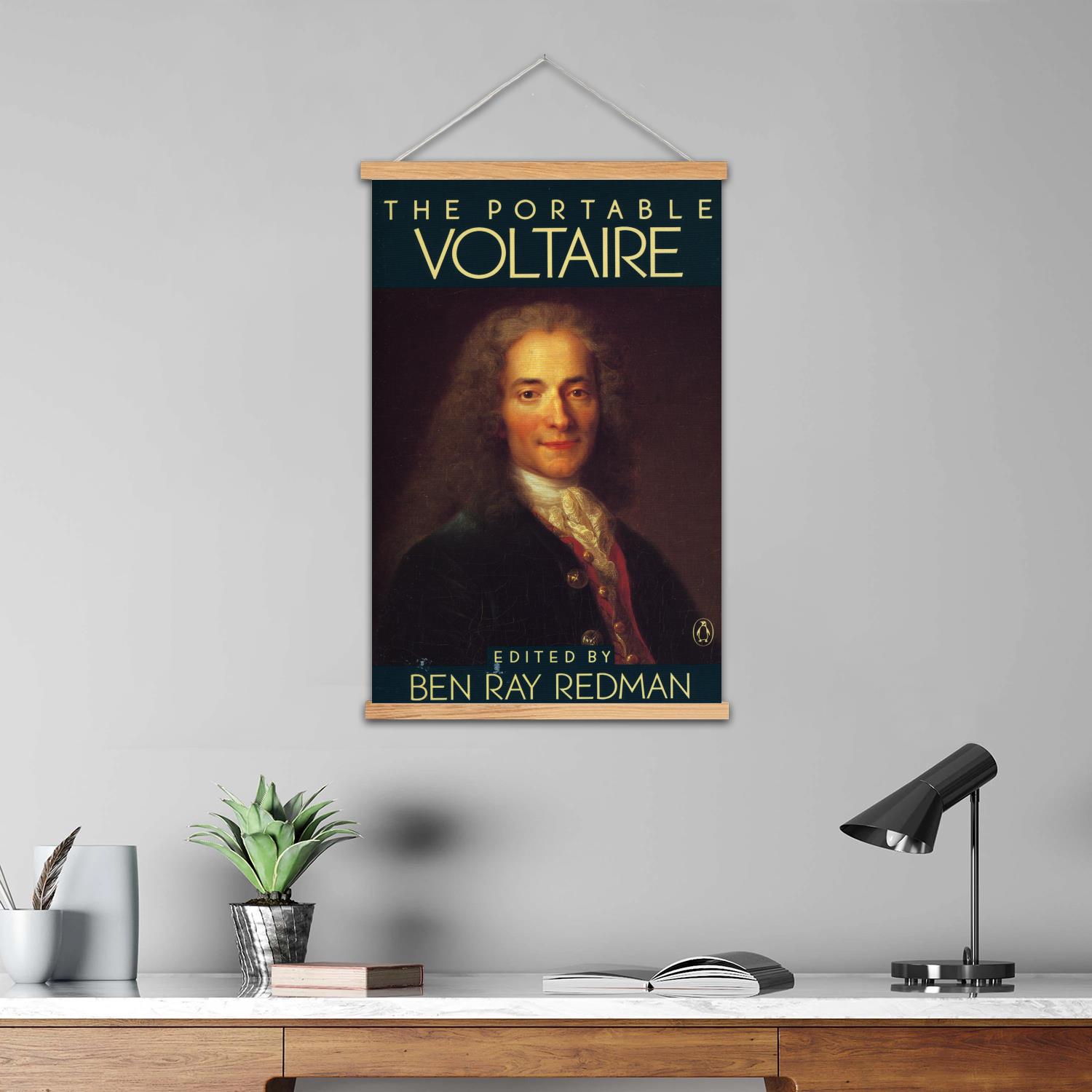 Voltaire Framed Wall Painting  - Art Print Framed review and price